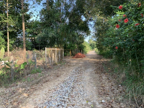 Bán lỗ miếng đất 6.2 sào ở đường sóc ba Buông