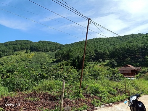 Còn 1 lô đất sổ riêng 1000m2- view rừng thông xanh tại Tà Nung- Đà Lạt