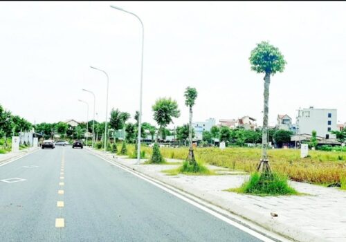 CHÍNH CHỦ cần bán gấp lô đất tại khu đô thị Việt Hàn, Xã Dĩnh Trì, Tp Bắc Giang.