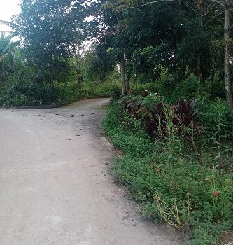 Gia đình cần bán mảnh đẩt phun thổ cư khu vực gần đồi xim,thuộc xã Thanh Cao, Lương Sơn, Hòa Bình.