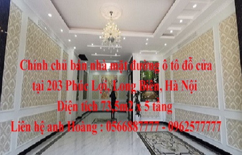 Chính chủ bán nhà mặt đường ô tô đỗ cửa tại 203 Phúc Lợi, Long Biên, Hà Nội