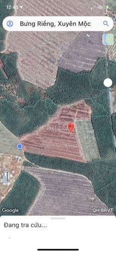 Cần bán đất ( 4,6 mẫu) ở  Xã Bưng Riềng, Huyện Xuyên Mộc, Bà Rịa Vũng Tàu