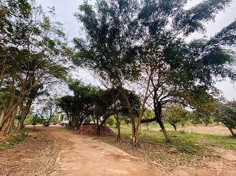 Cho thuê nhà đất tại Km 17, Hải Đông, Móng Cái, Quảng Ninh.