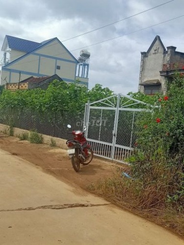 Hạnh đang sở hữu 01 ngôi nhà củ kỷ và 01 lô đất 4,500m2 đất thuộc Thị trấn Nam Ban -Huyện Lâm Hà