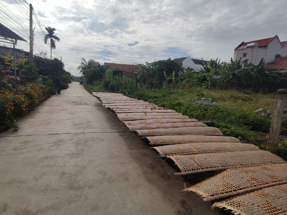 Bán đất đối diện nhà máy đường Ninh Xuân , Ninh Hòa
